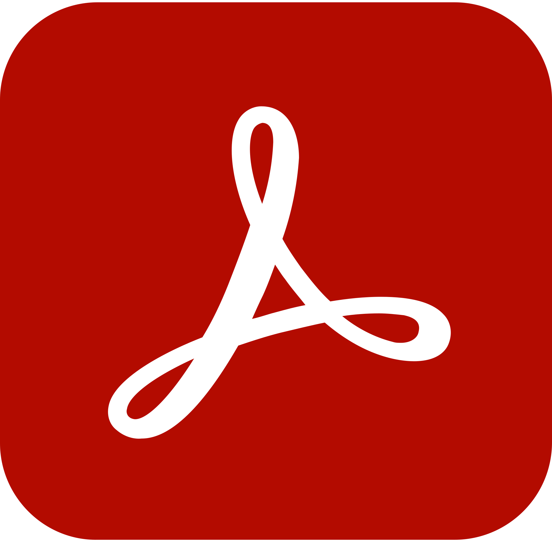 Adobe Reader installation icon