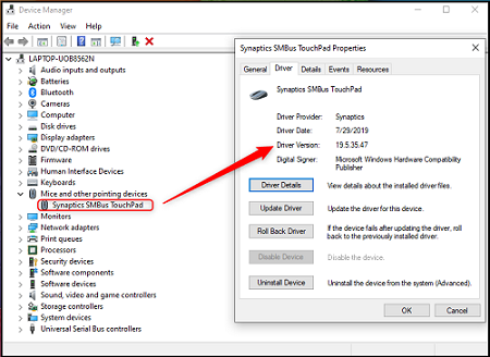 Check if the touchpad is enabled
Update the touchpad driver