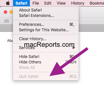 Close the Safari preferences window
Quit Safari by clicking on the "Safari" menu and selecting "Quit Safari"
