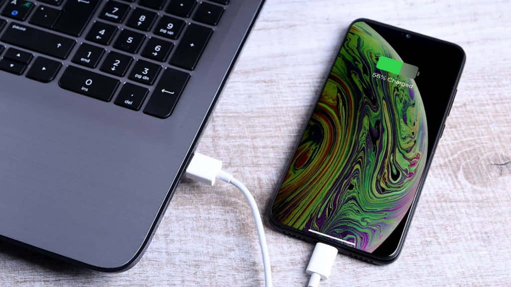 Connect your iPhone to your computer using a Lightning cable
Open iTunes on your computer