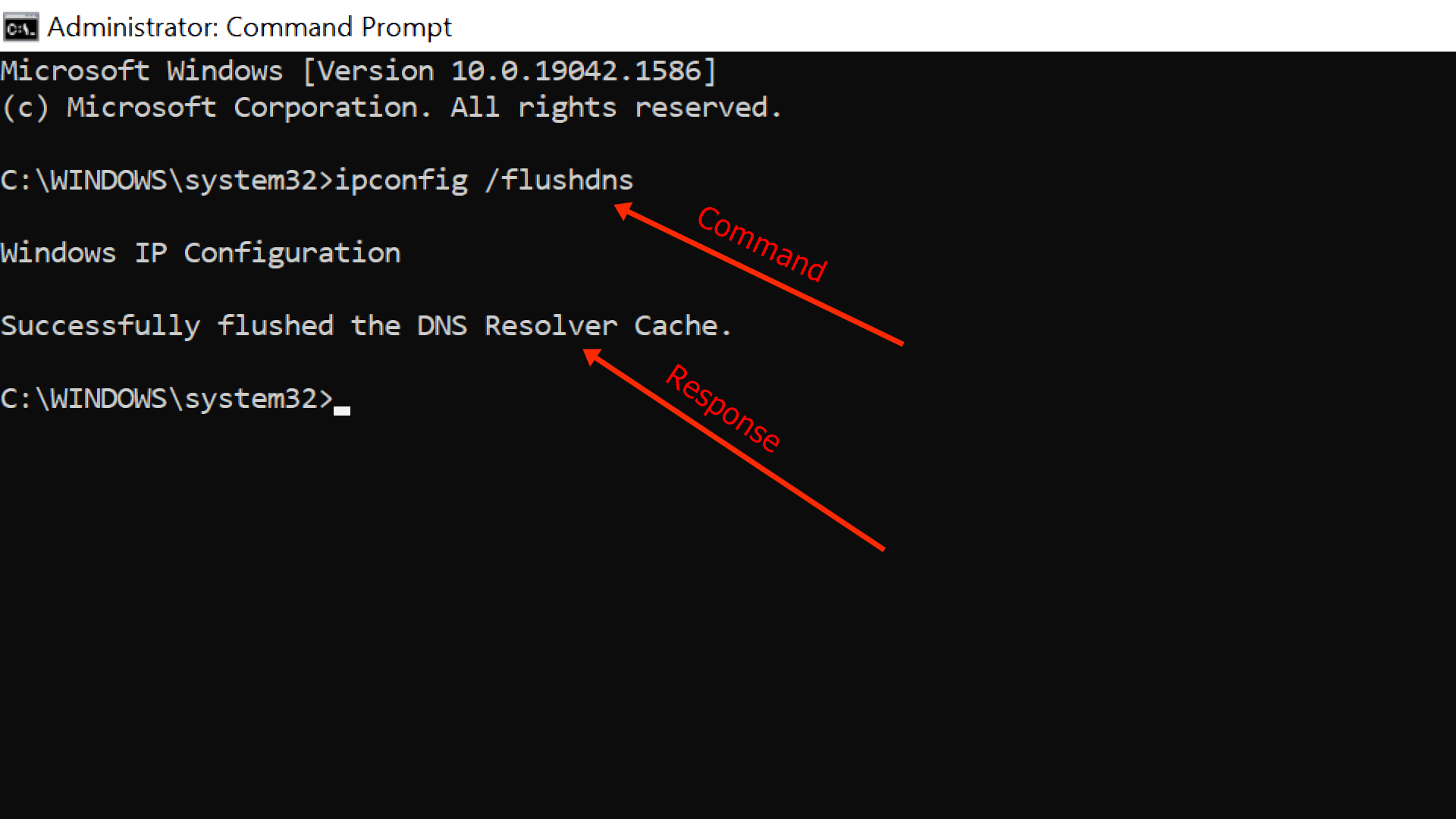 In the Command Prompt, type ipconfig /flushdns and press Enter.
Wait for the DNS cache to be flushed.