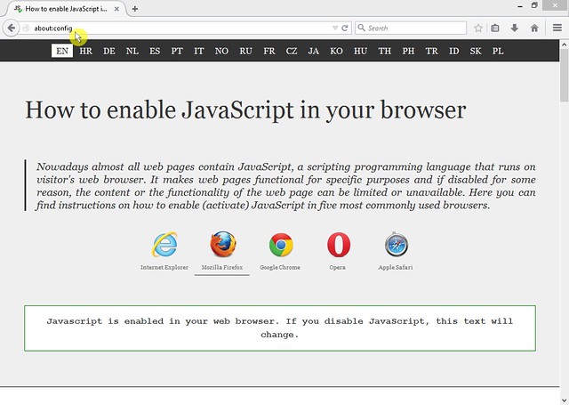 JavaScript error message in Firefox