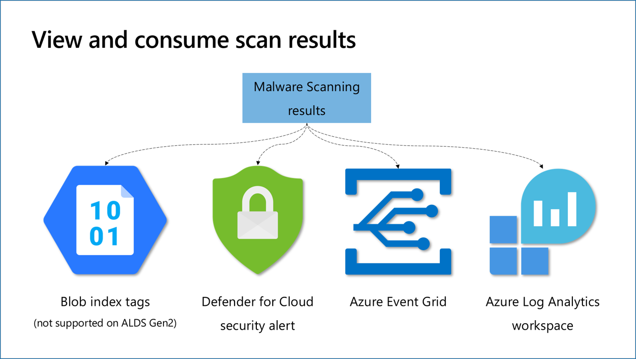 Malware scan process