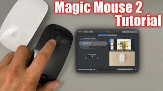 Master zooming techniques - Discover various methods to control zooming on your Magic Mouse
Explore alternative zoom functions - Learn how to zoom in and out without using the traditional pinch gesture