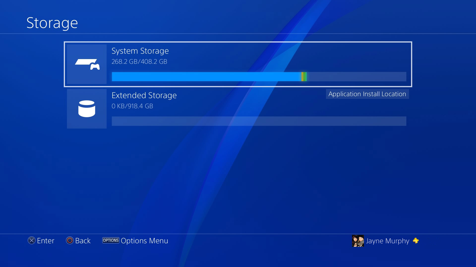 PS4 storage management screen