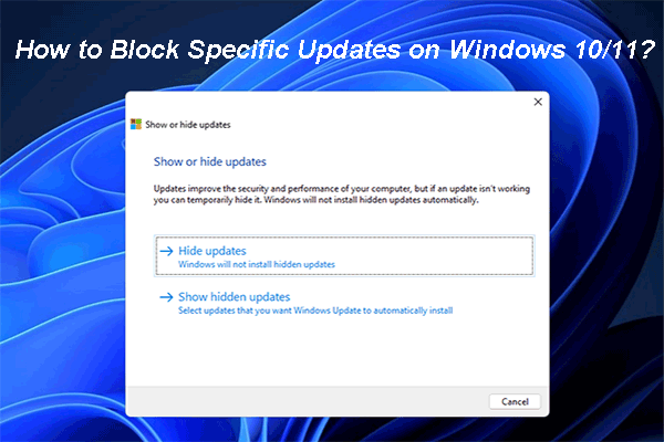 Step 5: Select the updates you want to install
Step 6: Click on the "Install" button