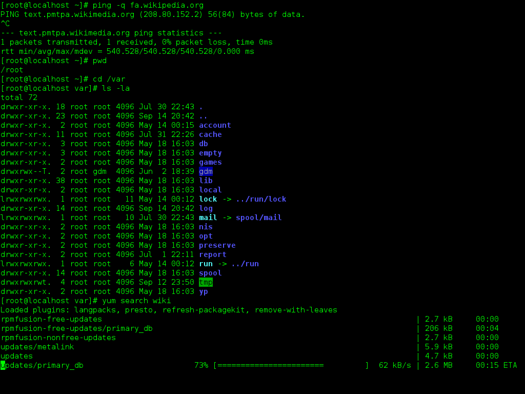 Terminal window with netstat command in action