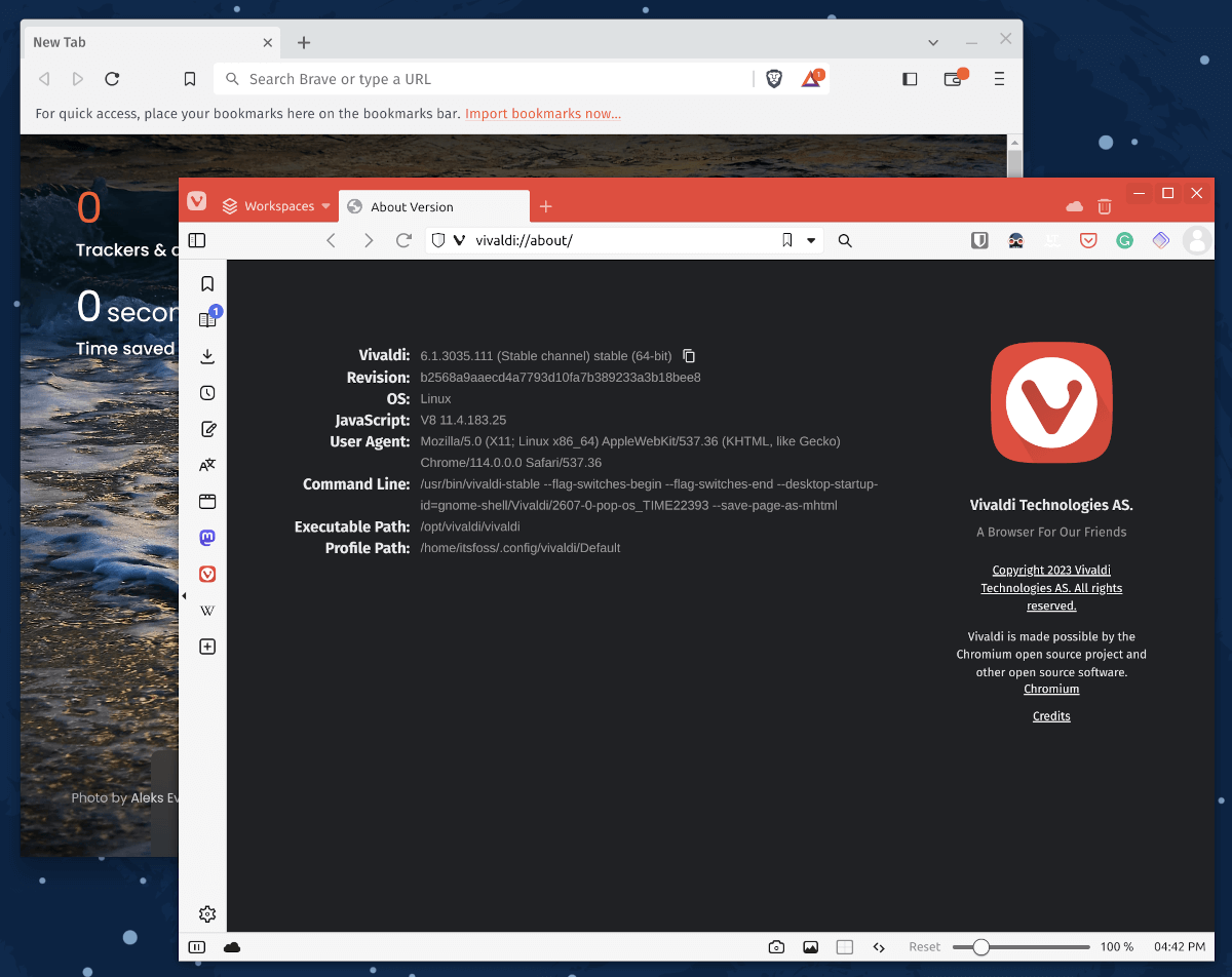 Vivaldi: A feature-rich browser, Vivaldi allows you to customize your browsing experience and supports various plugins.
Brave: Focused on privacy and security, Brave is a browser that supports a wide range of plugins and offers a fast, ad-free browsing experience.